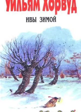Ивы зимой